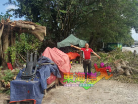 断树干霸占泊车位   商家冀市议会速清理 　
