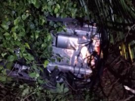 轿车失控坠入15尺山崖　司机幸无大碍