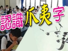 卢成良：家协有最终决定权 登10华小料一致反对
