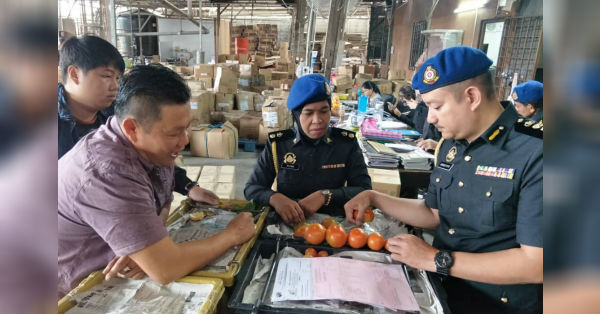 阿末菲特里（右）在官员陪同下，亲自到金马高原蔬菜批发市场突检番茄批发情况。