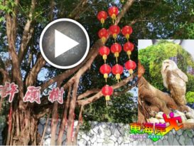 文冬百年广福庙 “神鸟”飞抵许愿树