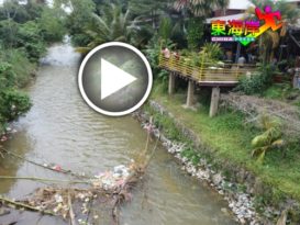 缺乏公民意识乱丢垃圾  文冬河变垃圾河