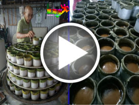 搅拌置模蒸18小时 制年糕工序 考功夫（看视频）
