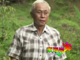 疑突感不适翻摩哆  猫山王接枝者  不治 （有视频）