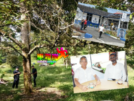 国会议员 律师交涉  地里望文积路暂缓铲芭  ◤更新◢黄德地主肉身挡泥机  险冲突（有视频）