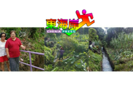 玻璃口新村大水沟  杂草丛生终获清理