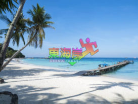 【今日东海岸头条】等经济振兴配套详情  旅游业  无从下手