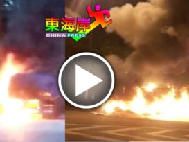 罗厘在大道着火狂烧