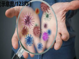 ◤全球大流行◢彭卫生主任 否认警官染疫传言