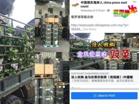 网友促停止指责 请体恤金马仑农民