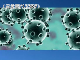 ◤全球大流行◢彭州确诊再加1人   身分不公开