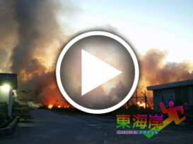 关丹市对岸双溪索   疑天气干旱起火