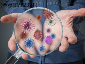 格宾出现武汉肺炎病例？ 假的！