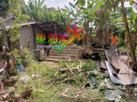 修剪树枝   拆蚁蚀木屋 大臣探访老妪   大扫除
