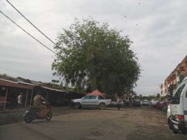 市议会：没有遵守社交距离 宝林园巴刹小贩不准营业