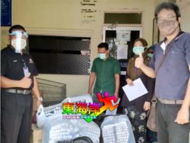 瓜登民行率逾20志愿者  赶制8000面罩赠医院