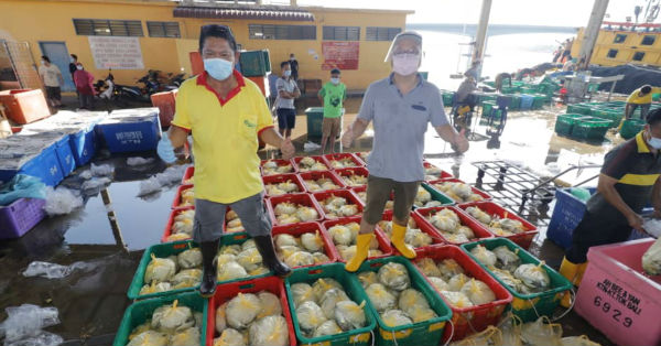 关丹鱼商连续4天捐赠鲜鱼，帮助关丹的贫困家庭，左起凌培华及张文源。