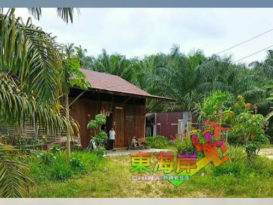 文积肺炎男病患入院   妻、岳母检测呈阴性