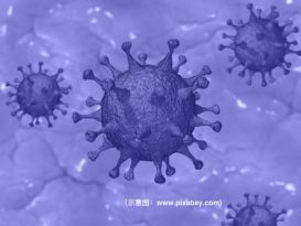 淡马鲁县3人中招 确诊新冠肺炎