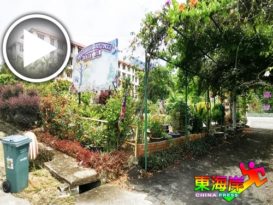 武吉丁宜休闲公园重开     不鼓励打球 孩童玩乐（有视频）