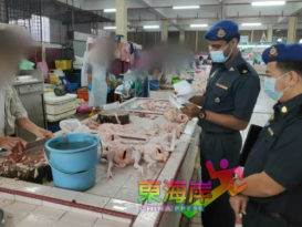 各领域复工需求突增 彭肉鸡供应短缺