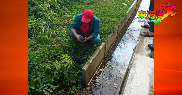 环境局官员在小溪旁采集水质样本。