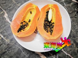 木瓜中长木瓜！好特别！
