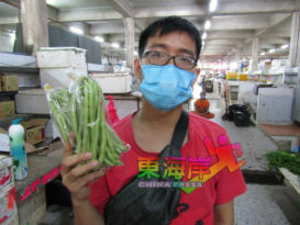 “乌龟豆每公斤13令吉！”   蔬菜减产  大涨价