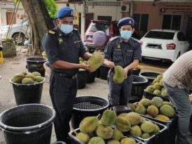 榴梿没有标价 业者被罚款1000