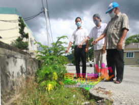 路面开始下陷  盼尽快修缮沟渠