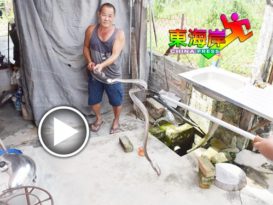 喷蚊油引出排水管 蛇闯民宅 被生擒