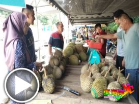 多因素冲击销量挫三成 本季榴梿市场 有点冷（有视频）