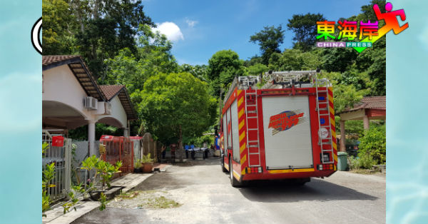 消防车周六（18日）午后出现在士满慕峇鲁住宅区，参与入山拯救负伤青年行动。