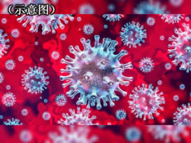 关丹出现感染群 今日3宗确诊病例