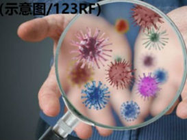 彭州“爱莎感染群”    63人被隔离 　