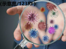 关丹学生家长确诊   彭卫生局：没学生确诊投报