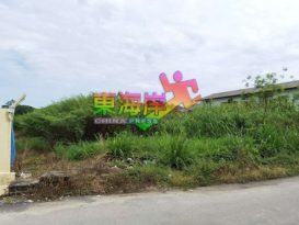 斯里仄默浪路  隐翅虫出没  1个月5人中招