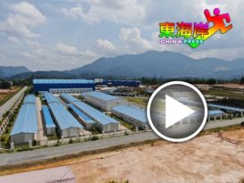 国盟探讨重启东铁冀设文冬站  造福西彭人