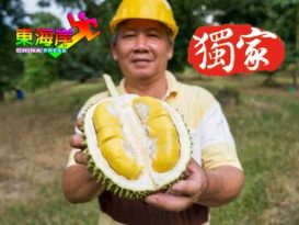 吉流猫山王始祖福哥去世 大家没忘他的贡献和情缘