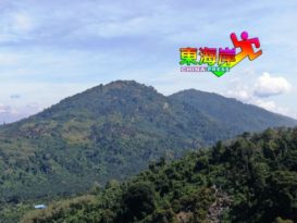 劳勿区非法榴梿芭风波  农民通过各种管道争取权益