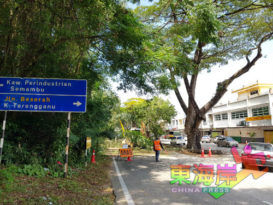 关丹武吉士基劳穆斯林墓园旁路段     封路修剪茂盛树桠