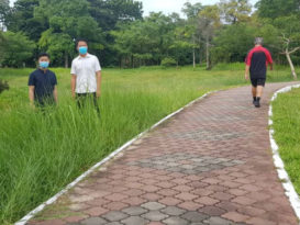 关丹睦邻公园   跑道旁野草丛生