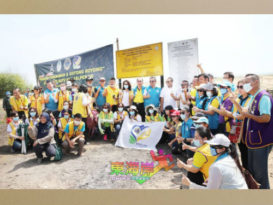 植树救海滩  防土蚀       8000木麻黄树成保护屏