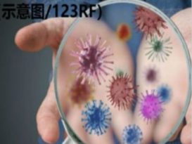 7天零确诊破功  丹新增2病例