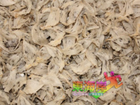 疫情打击   经济不景气  净燕销量   盼双11突破