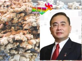 呈魏家祥备忘录     姜地逼迁 交中央交涉