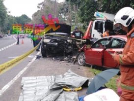 驶入对面车道撞四驱车  闪避蟒蛇   父女车祸死