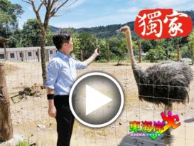 明年迎来休闲农场  文冬辟生态旅游链