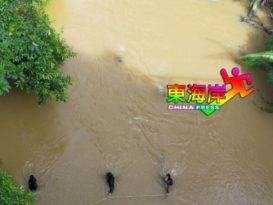 美少女疑遭同学杀害案  水警下河搜寻证物