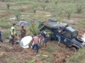 运尸警车翻落油棕园  警员死者家属受伤
